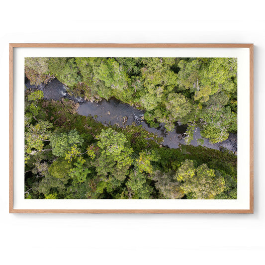 Windin Creek in the Rainforest #2 - Framed Print