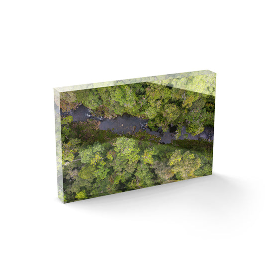 Windin Creek in the Rainforest #2 - Acrylic ICE Block