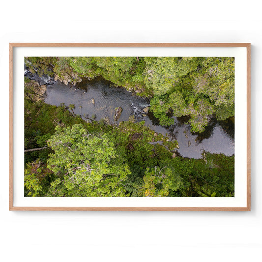 Windin Creek in the Rainforest #1 - Framed Print