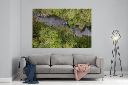 Windin Creek in the Rainforest #1 - Acrylic Print