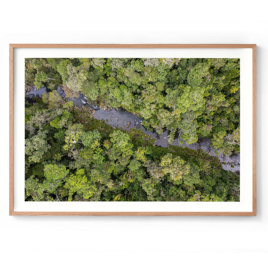 Windin Creek in the Rainforest #3 - Framed Print