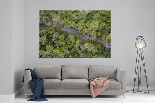 Windin Creek in the Rainforest #3 - Acrylic Print