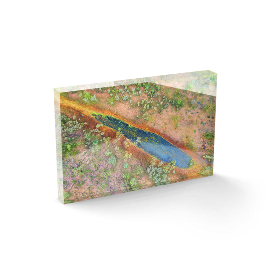 Dampier Peninsula Pond Abstract - Acrylic ICE Block