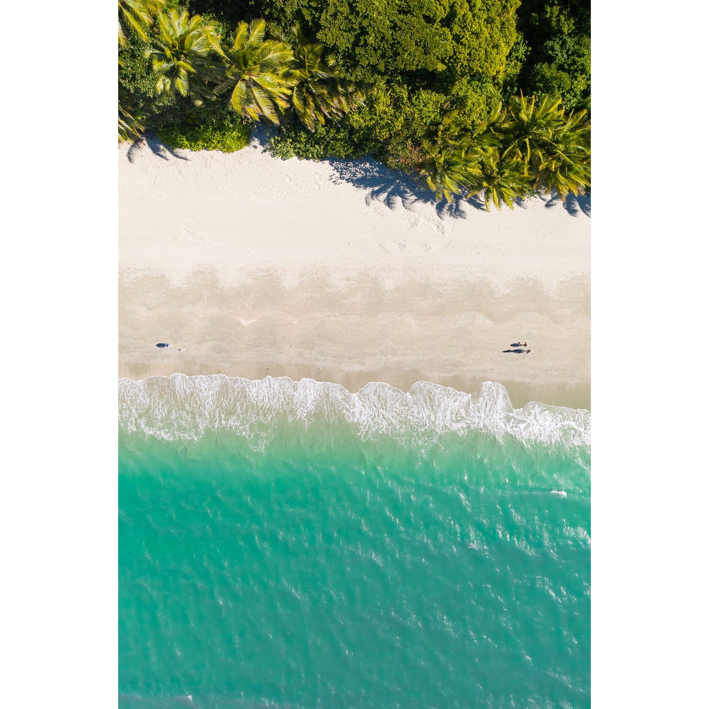 Port Douglas Beach #2 - Acrylic Print