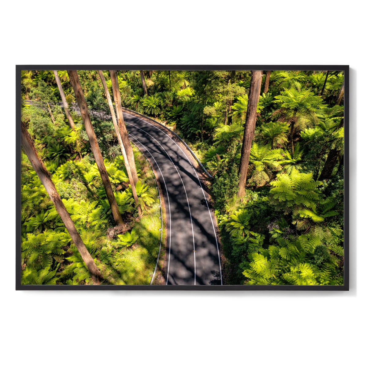 Black Spur Road #4 - Framed Print