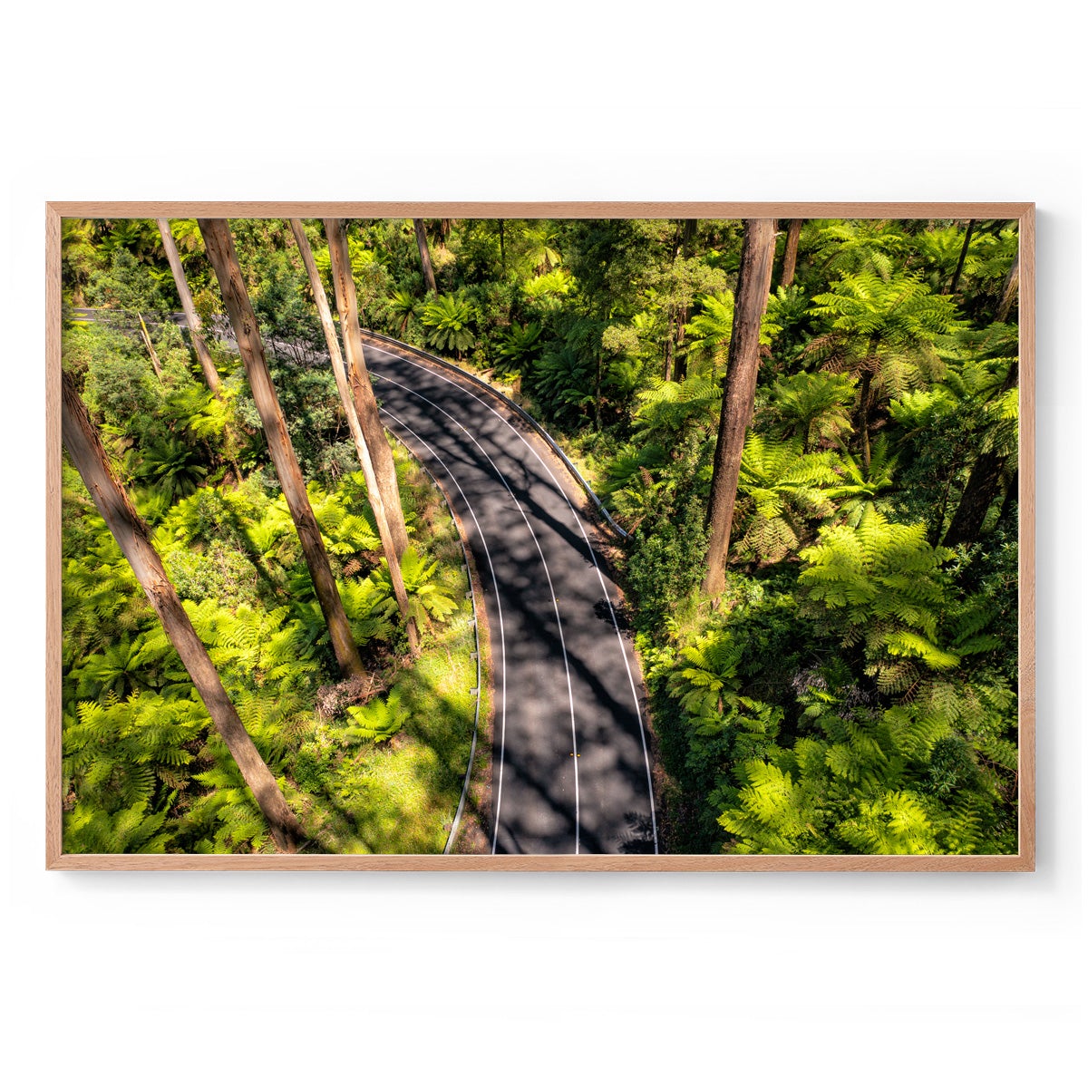 Black Spur Road #4 - Framed Print