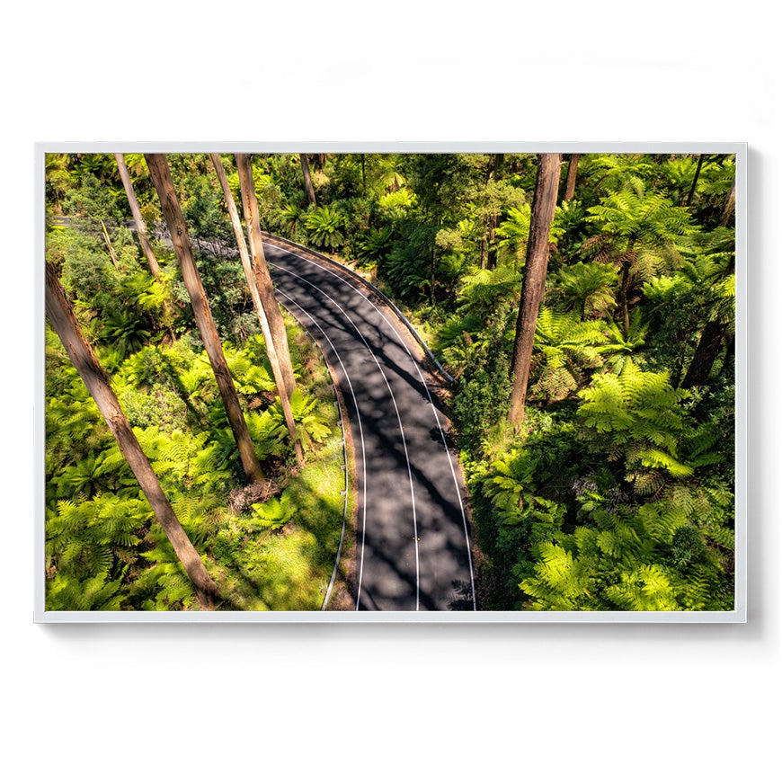 Black Spur Road #4 - Framed Print