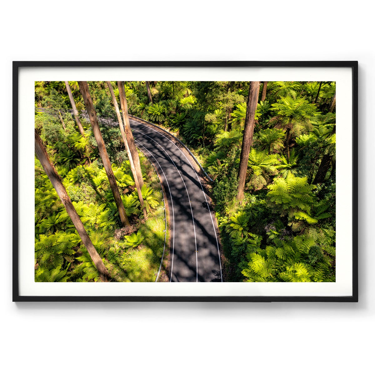 Black Spur Road #4 - Framed Print