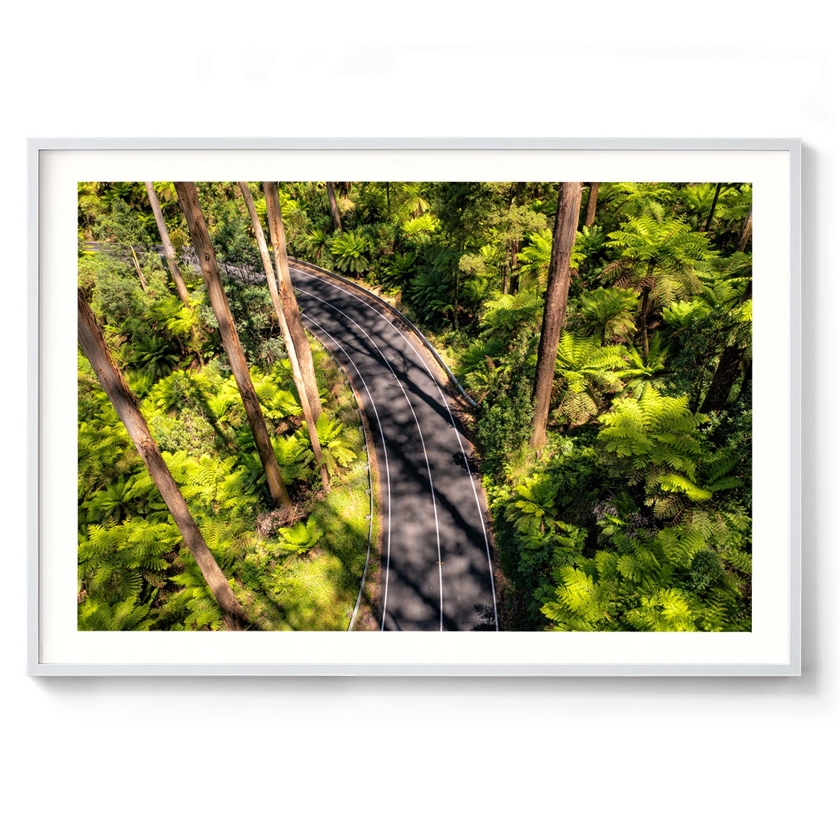 Black Spur Road #4 - Framed Print