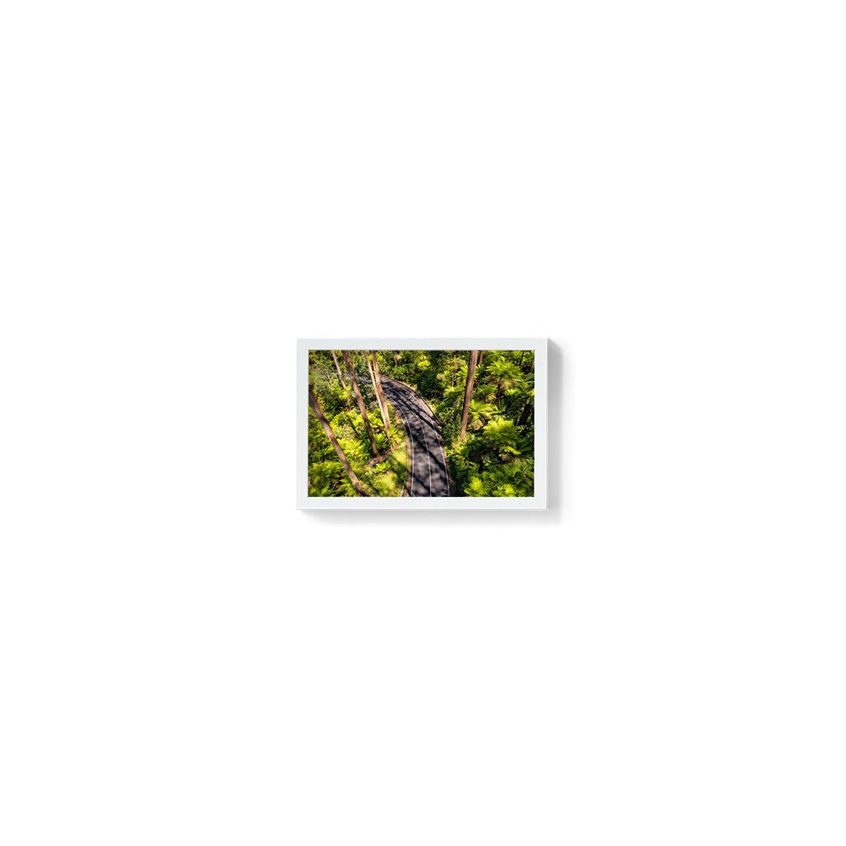 Black Spur Road #4 - Framed Print