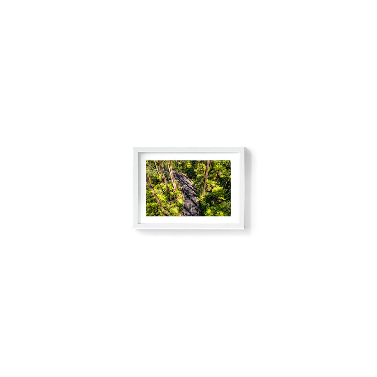 Black Spur Road #4 - Framed Print