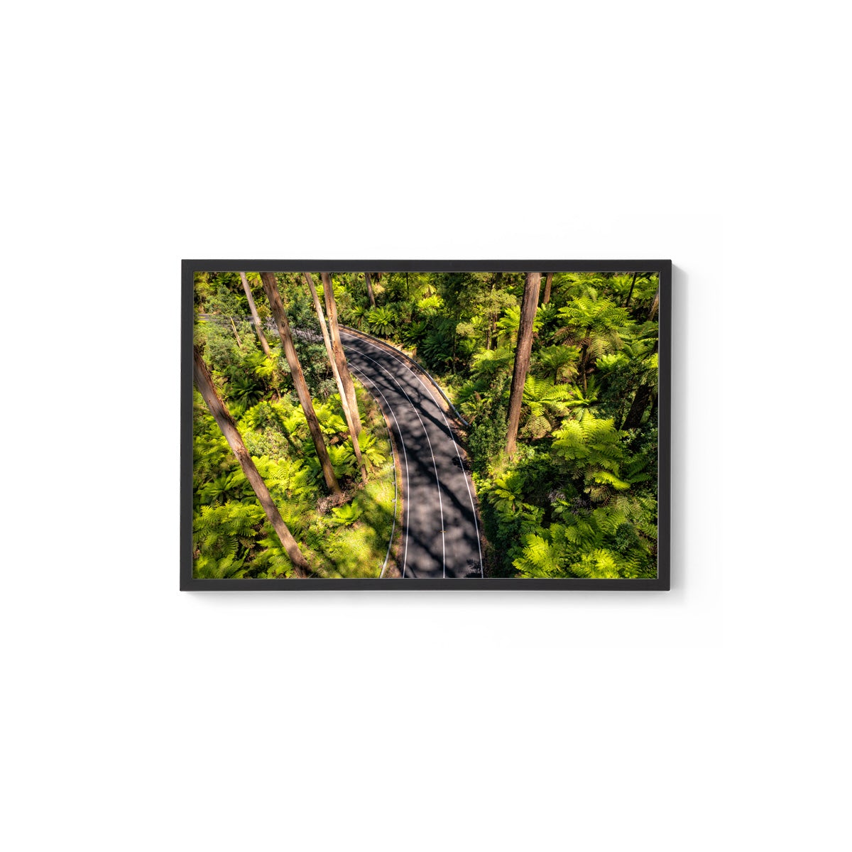 Black Spur Road #4 - Framed Print