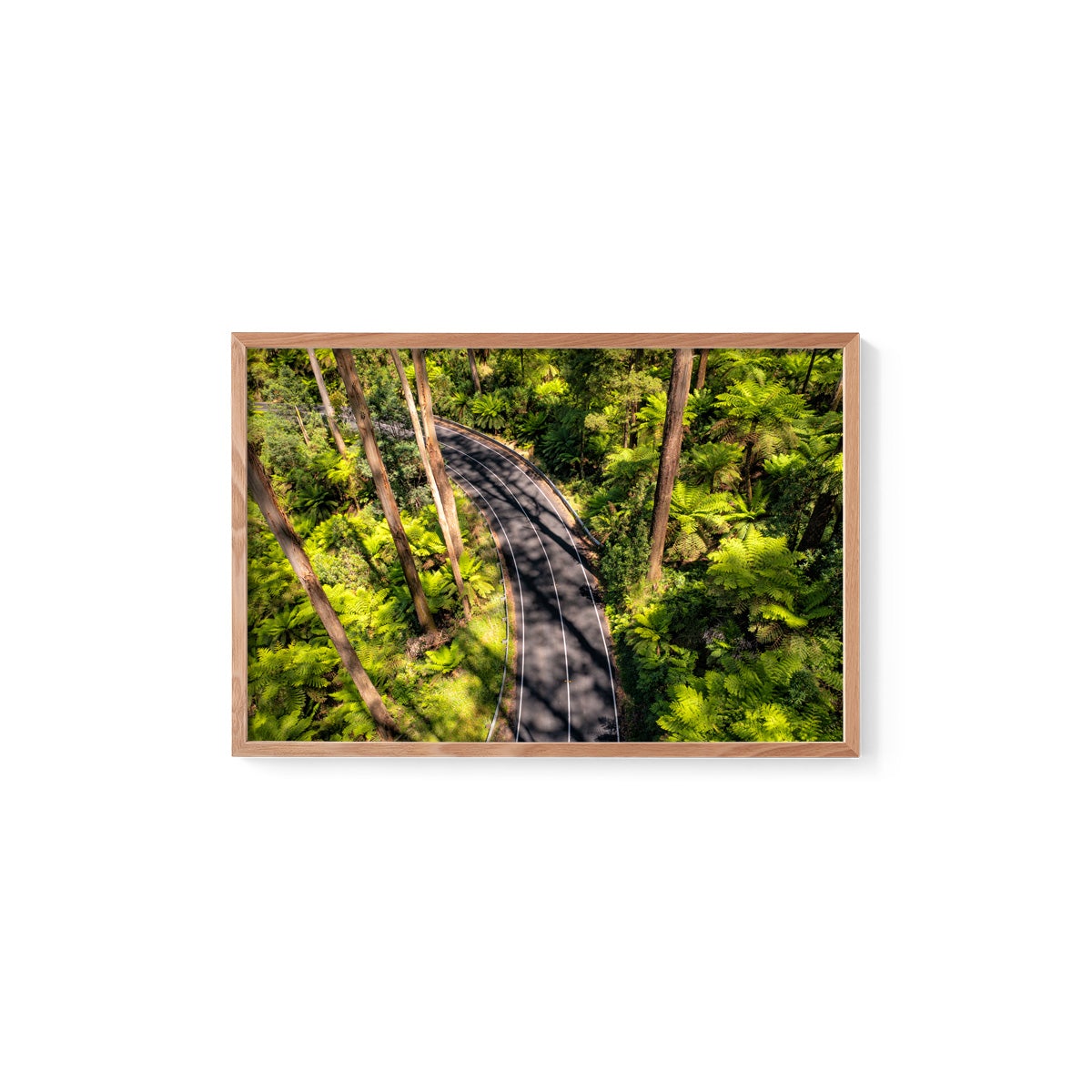 Black Spur Road #4 - Framed Print