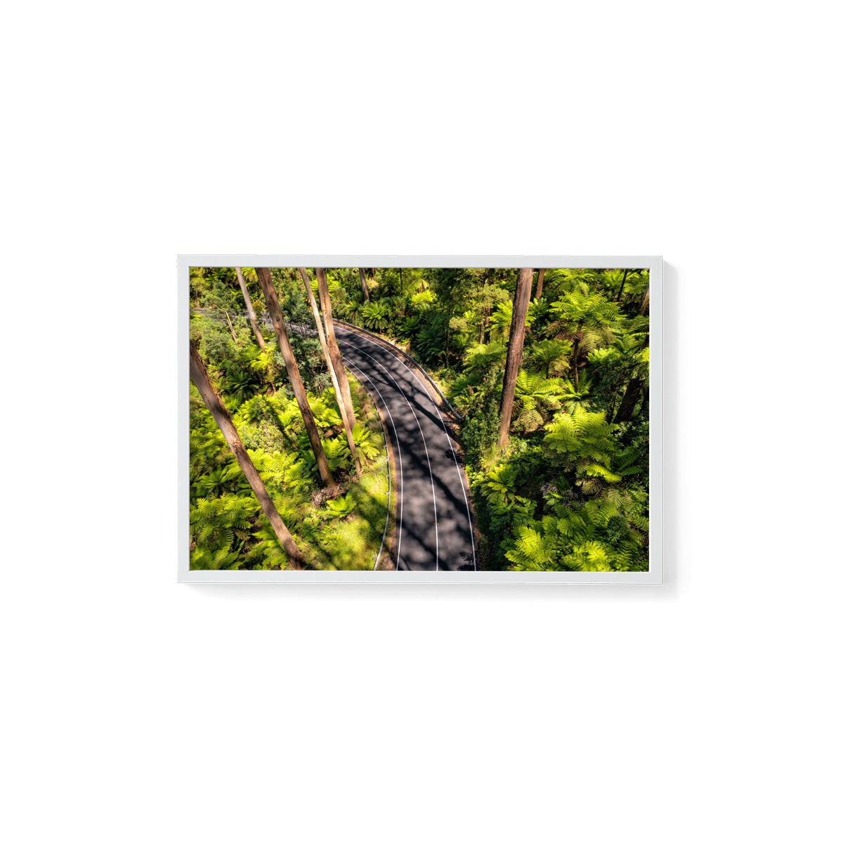 Black Spur Road #4 - Framed Print