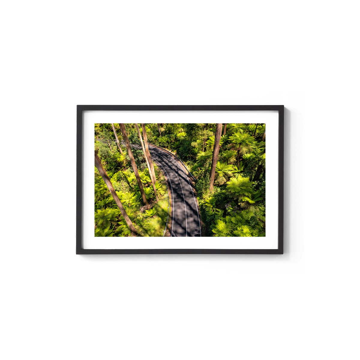 Black Spur Road #4 - Framed Print