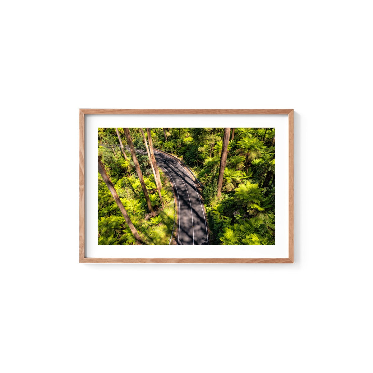 Black Spur Road #4 - Framed Print