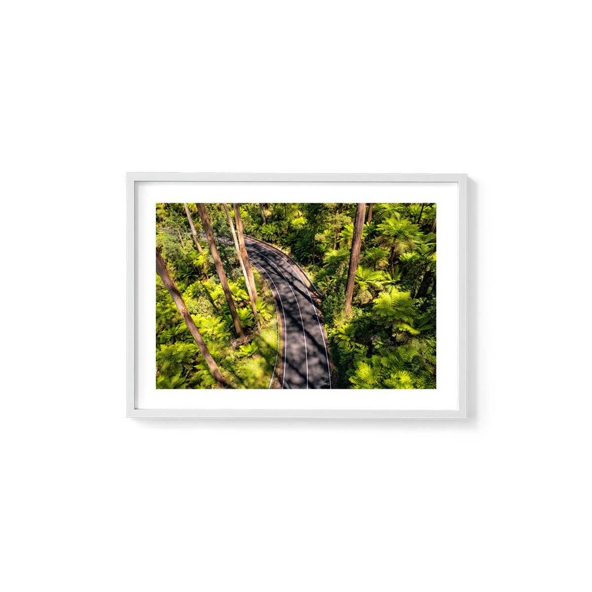 Black Spur Road #4 - Framed Print