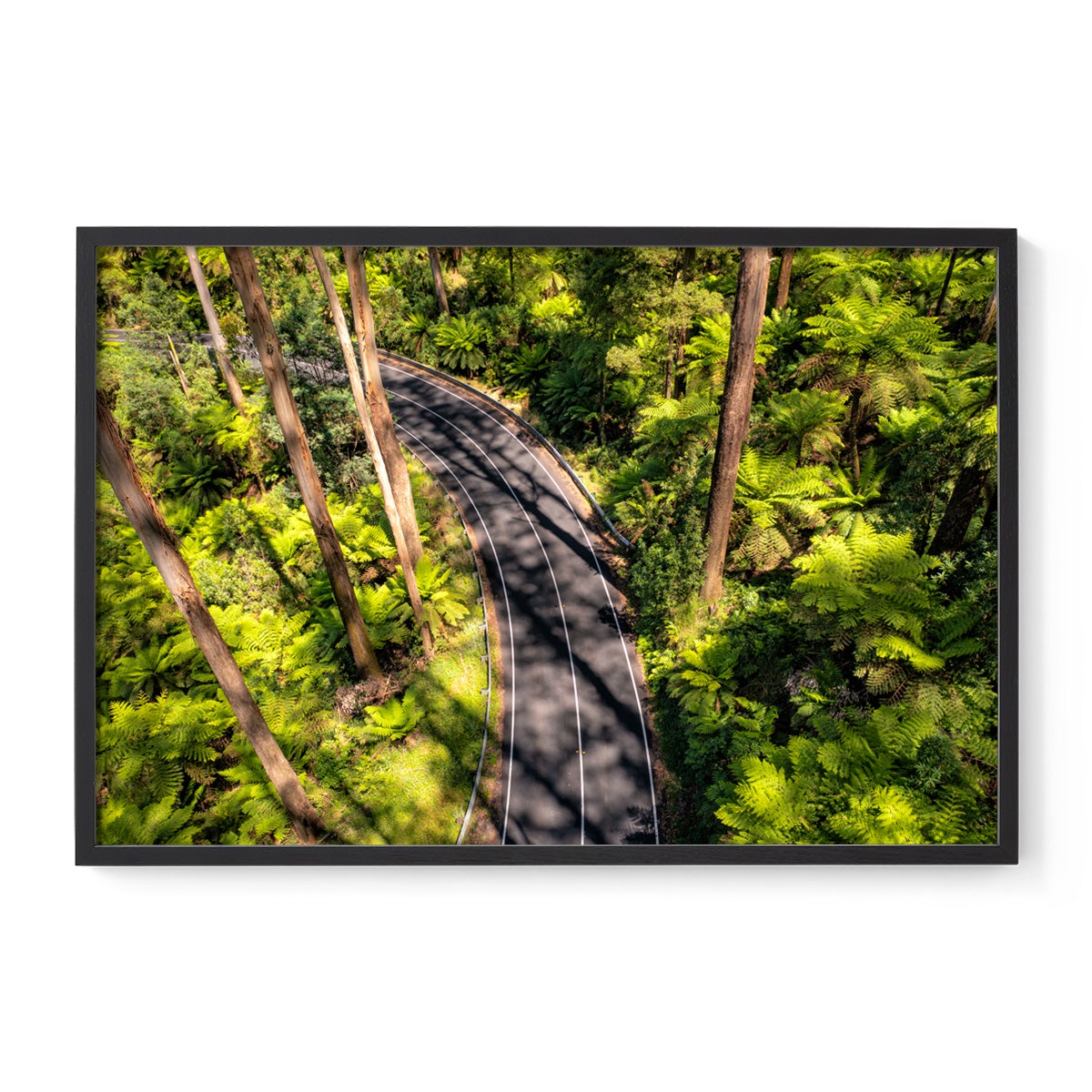 Black Spur Road #4 - Framed Print