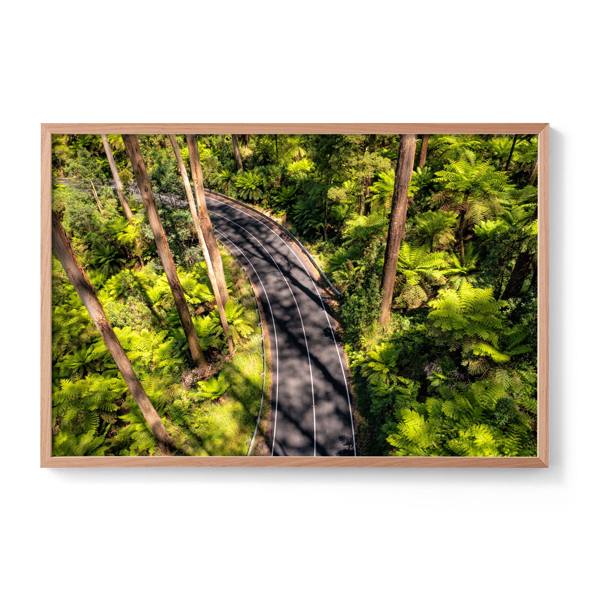 Black Spur Road #4 - Framed Print