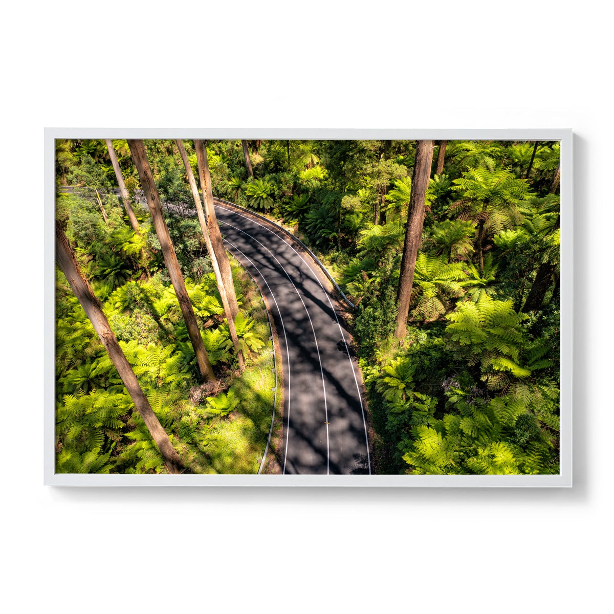 Black Spur Road #4 - Framed Print