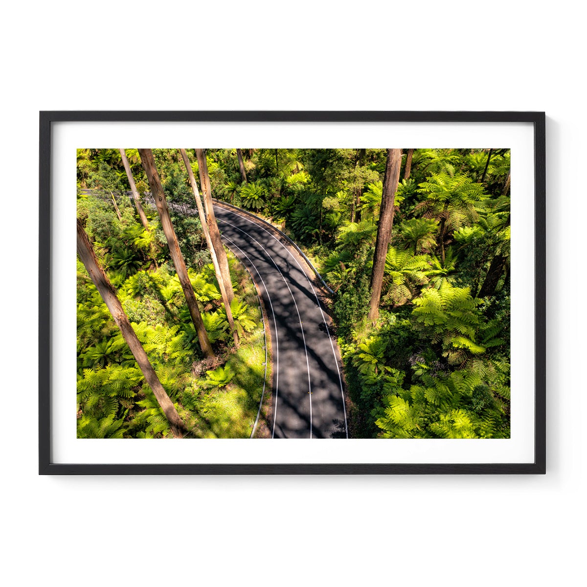 Black Spur Road #4 - Framed Print