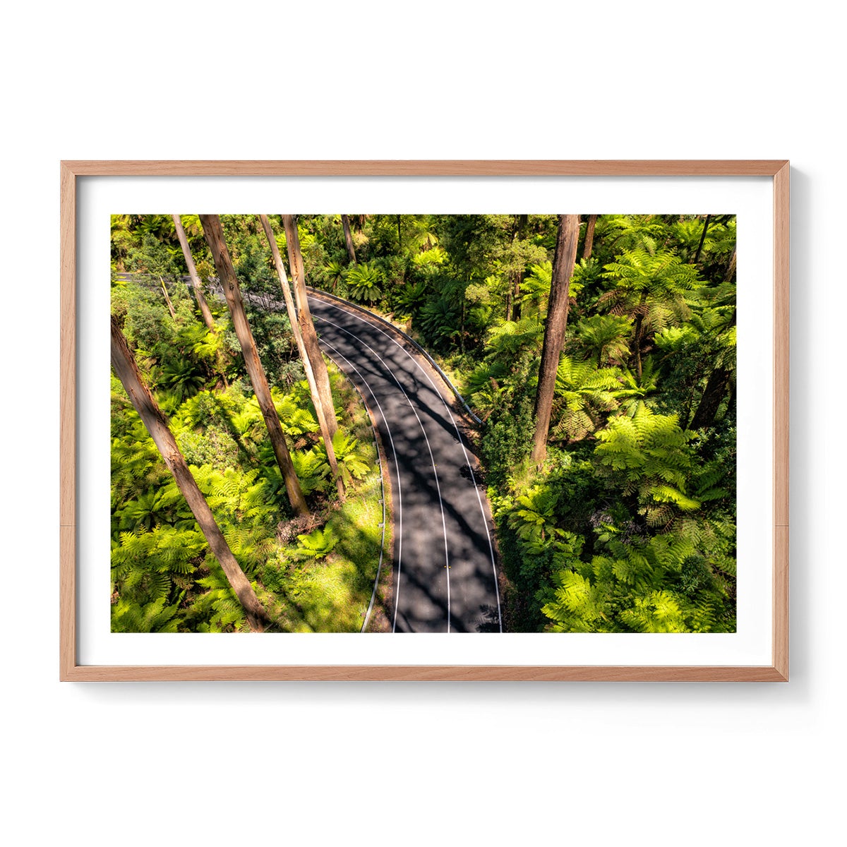 Black Spur Road #4 - Framed Print