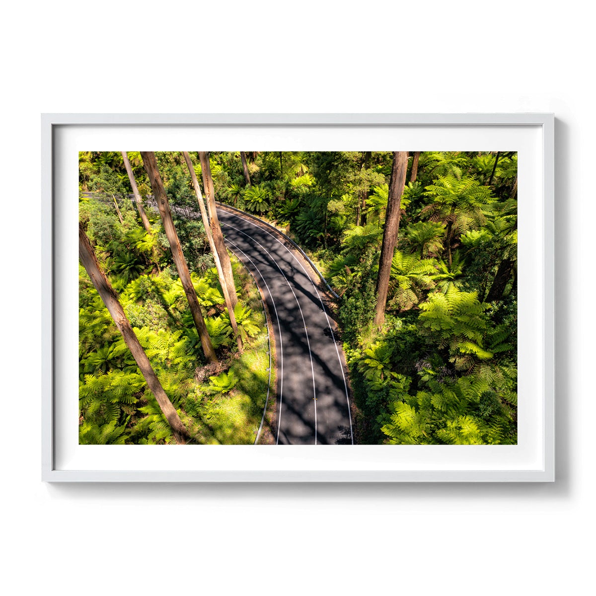 Black Spur Road #4 - Framed Print