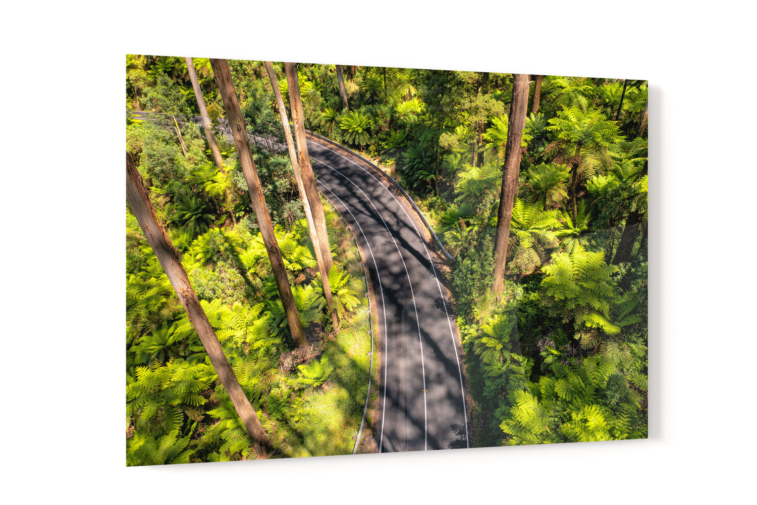 Black Spur Road #4 - Acrylic Print