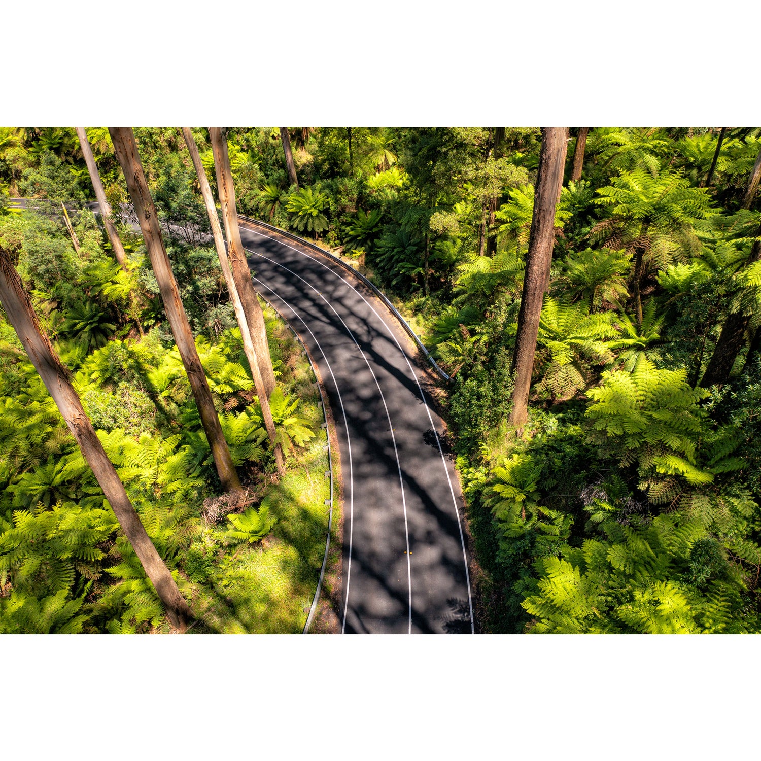 Black Spur Road #4 - Acrylic ICE Block