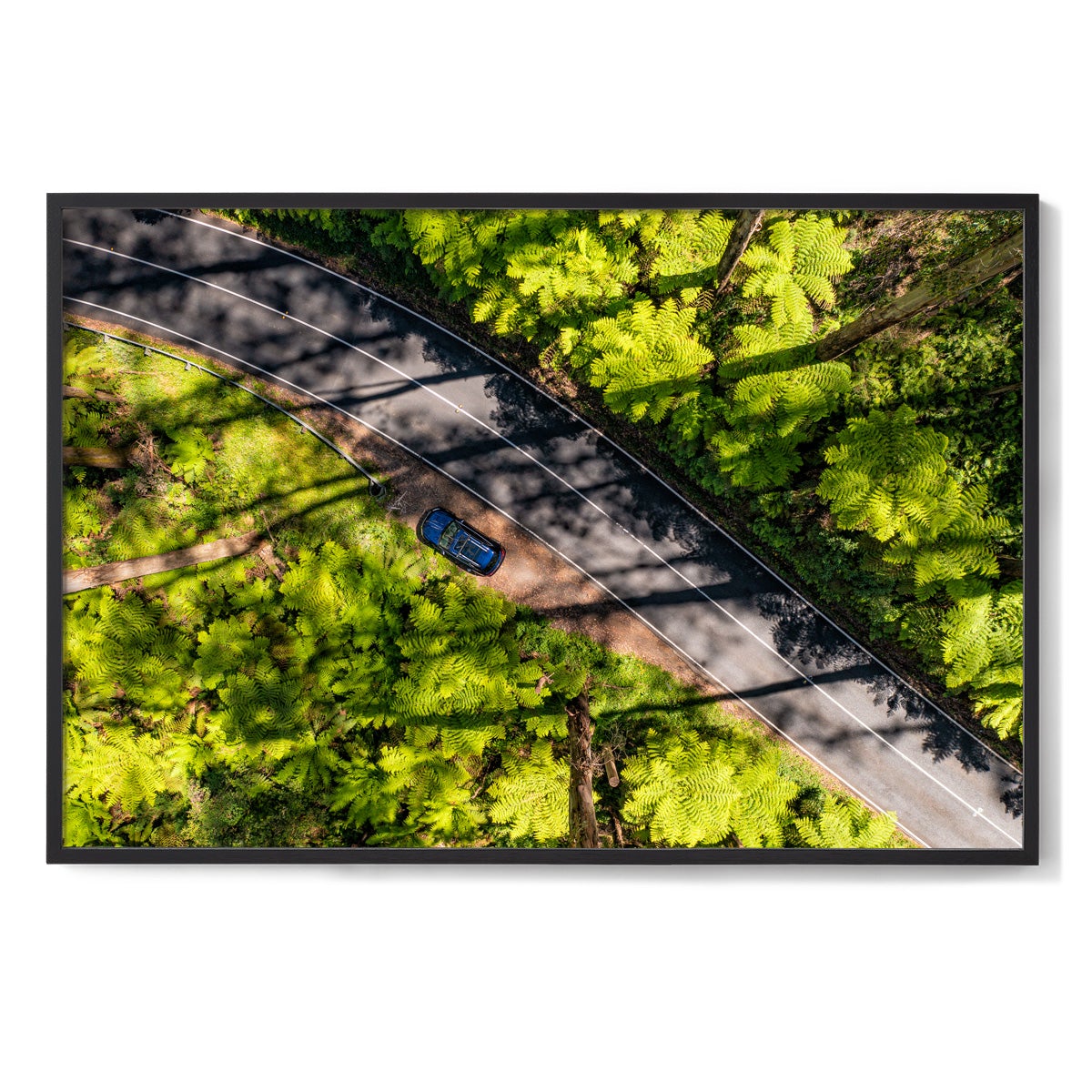 Black Spur Road - Framed Print