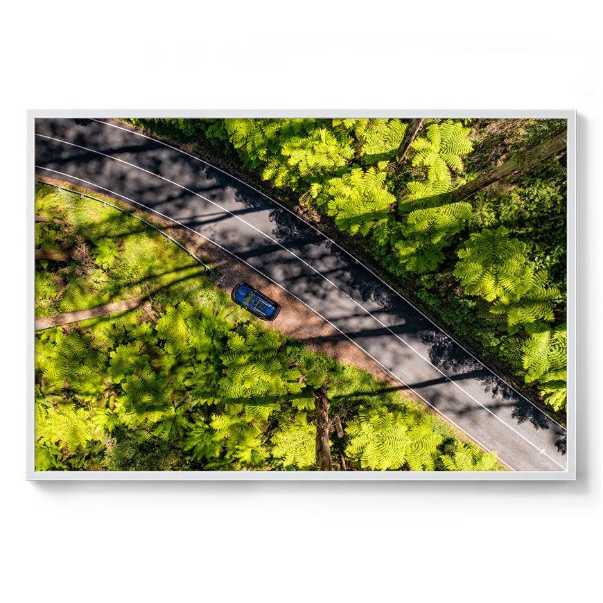 Black Spur Road - Framed Print