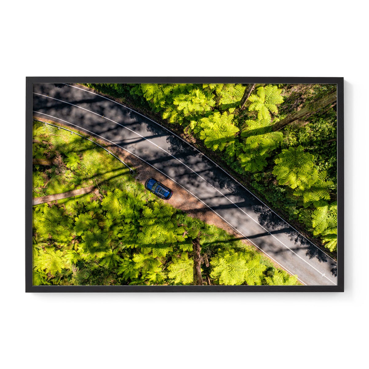 Black Spur Road - Framed Print