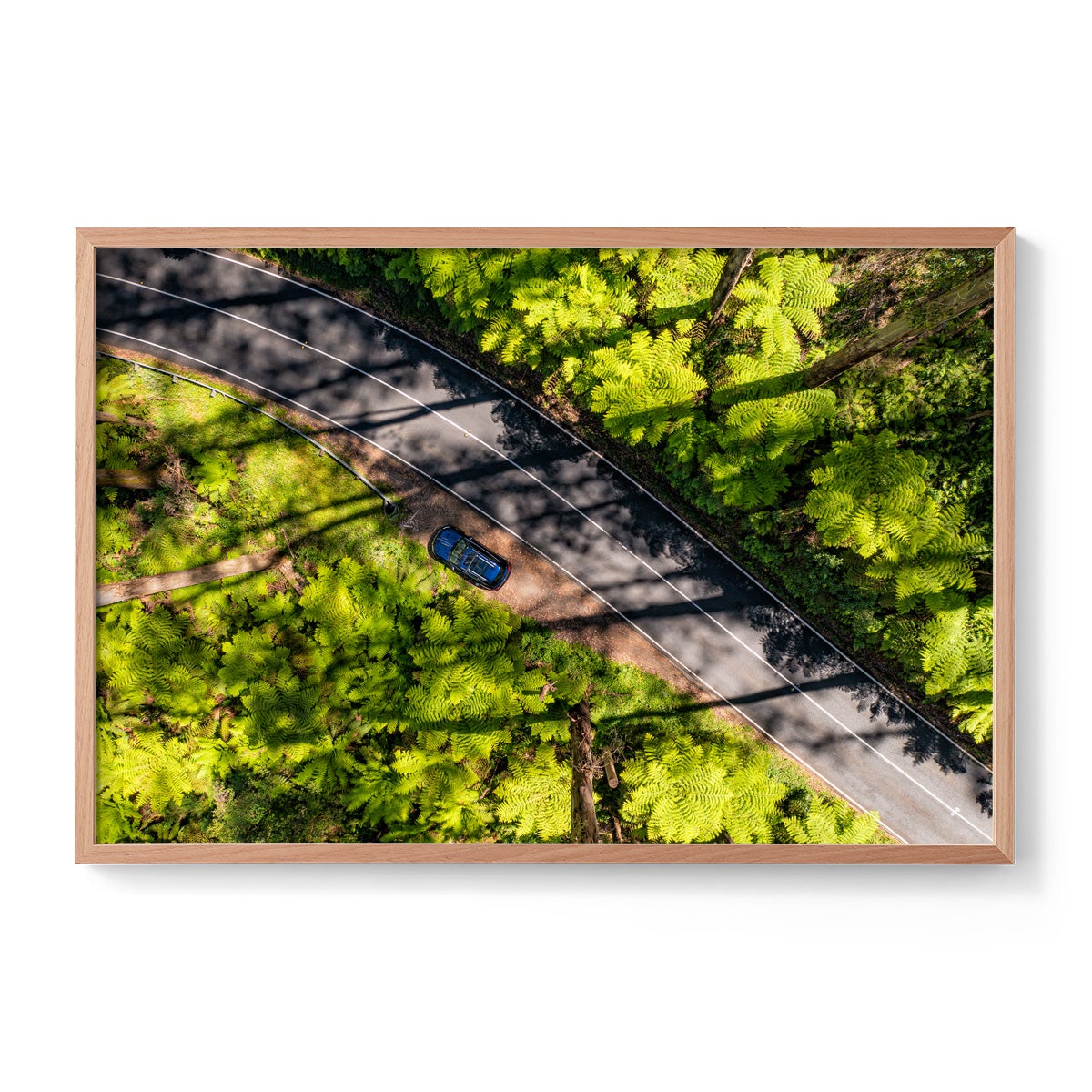 Black Spur Road - Framed Print