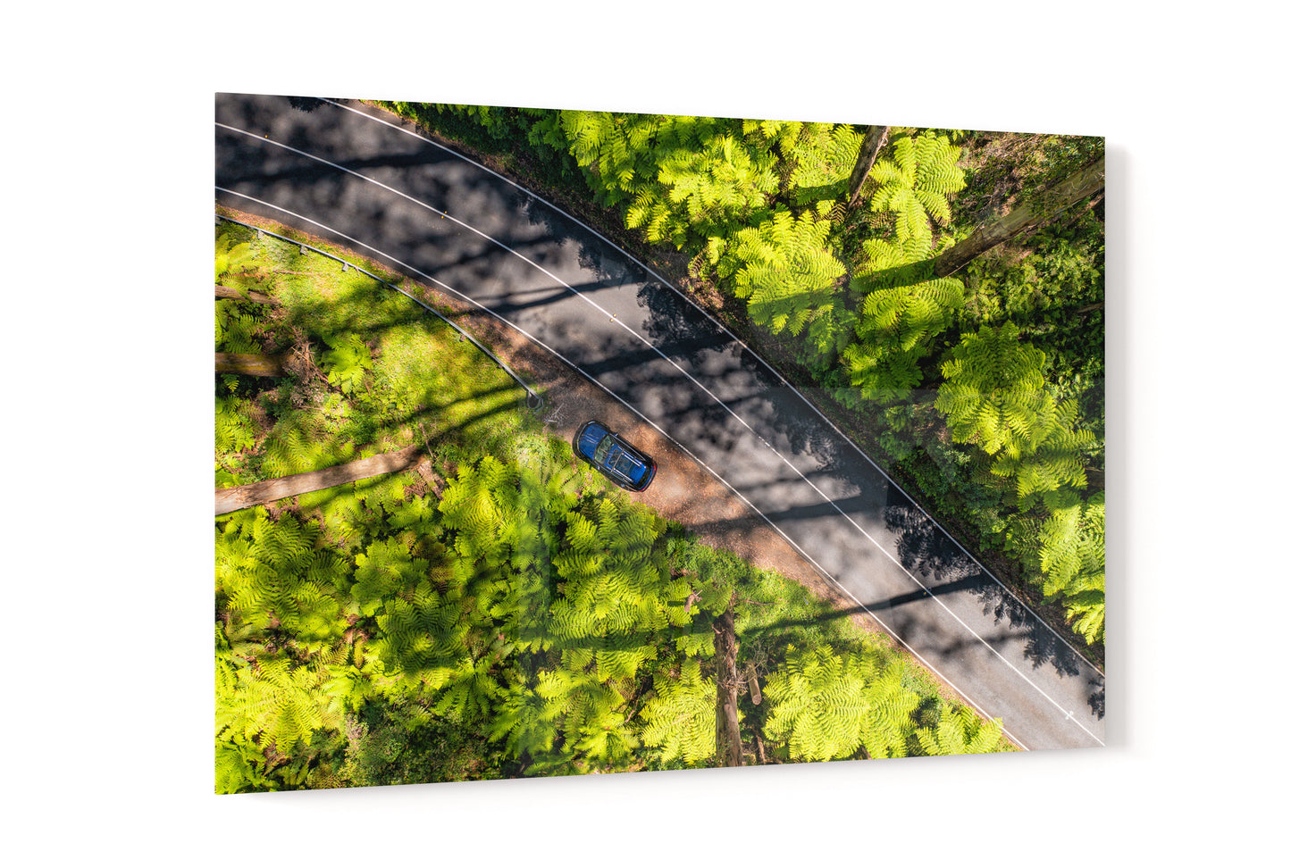 Black Spur Road - Acrylic Print