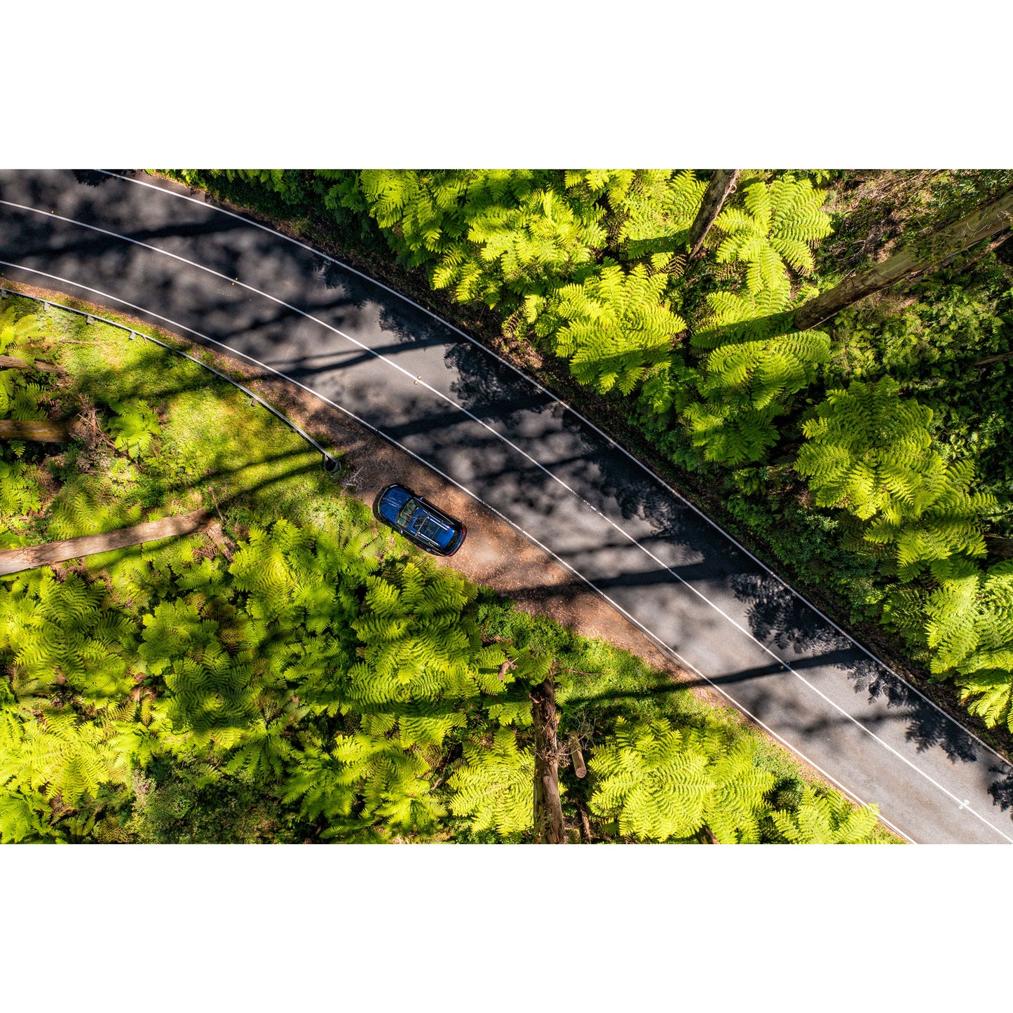 Black Spur Road - Framed Print