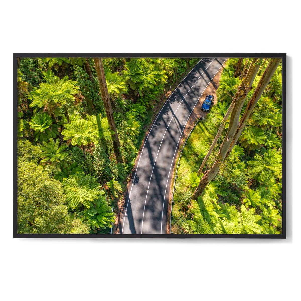 Black Spur Road #5 - Framed Print