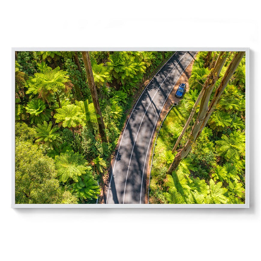 Black Spur Road #5 - Framed Print