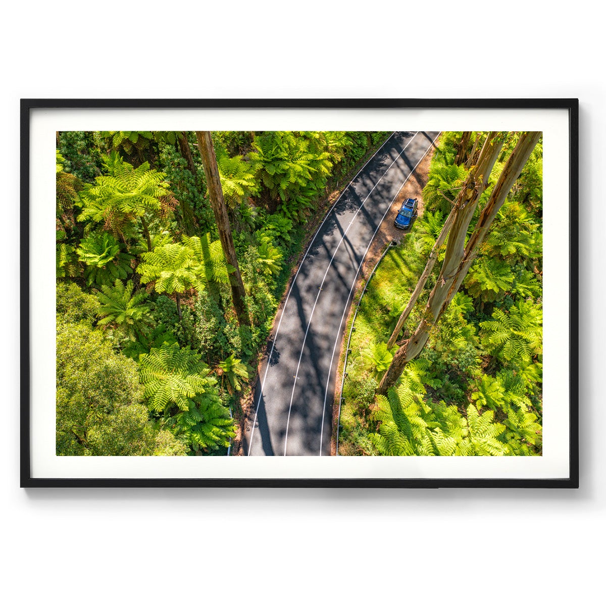 Black Spur Road #5 - Framed Print