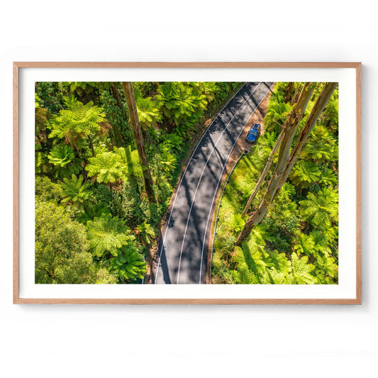 Black Spur Road #5 - Framed Print