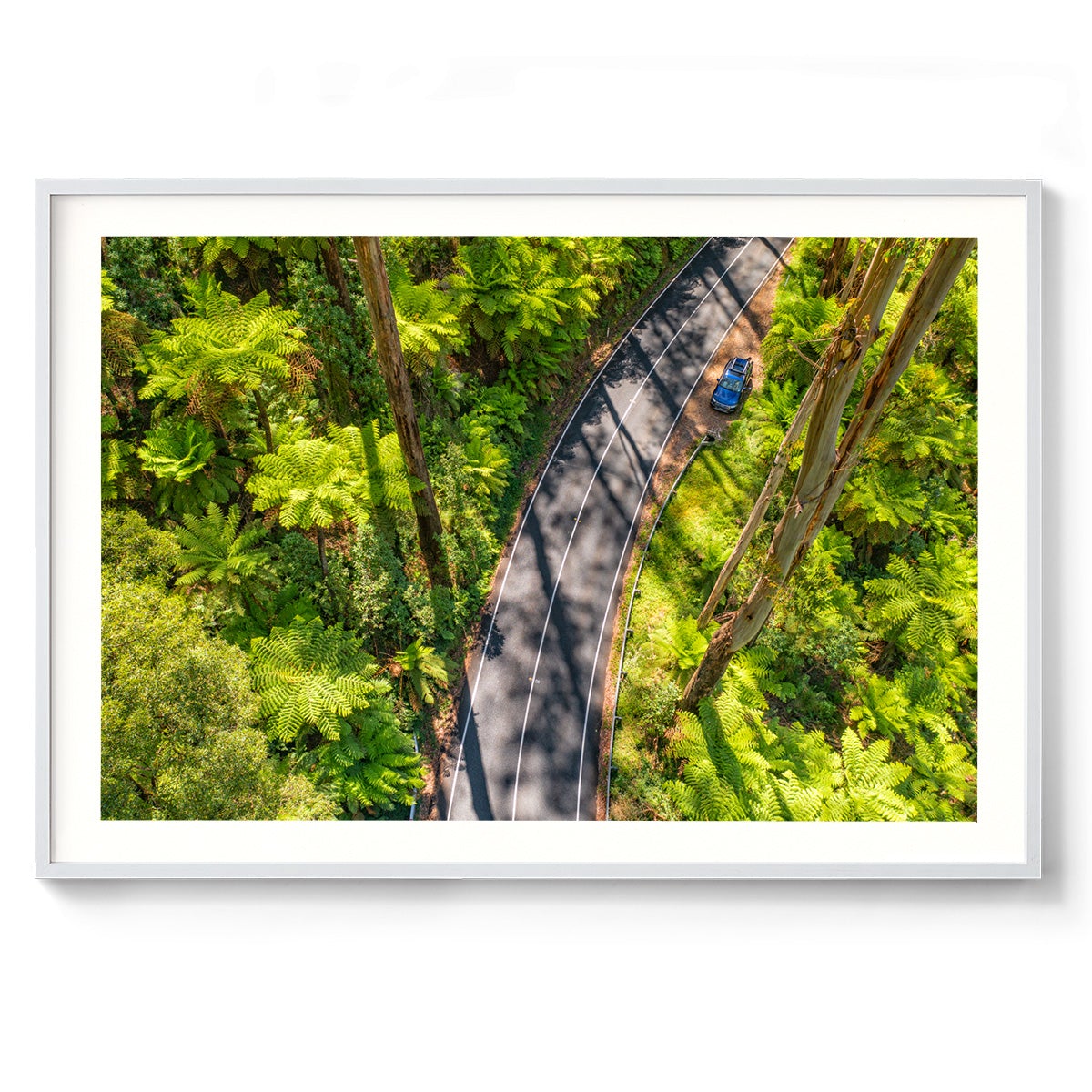 Black Spur Road #5 - Framed Print