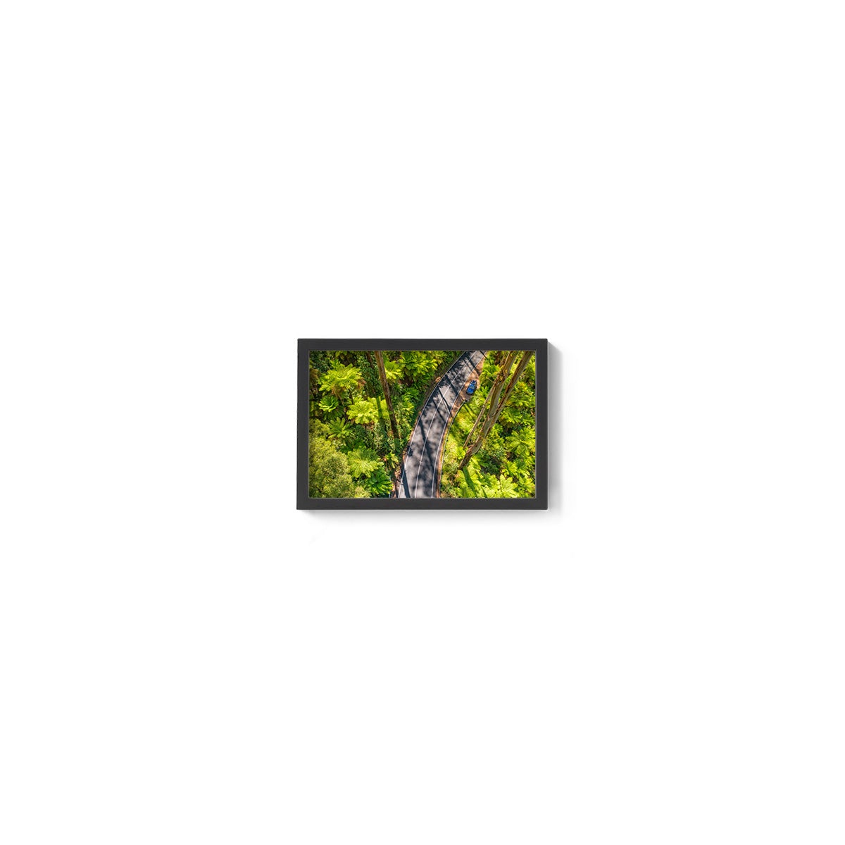 Black Spur Road #5 - Framed Print