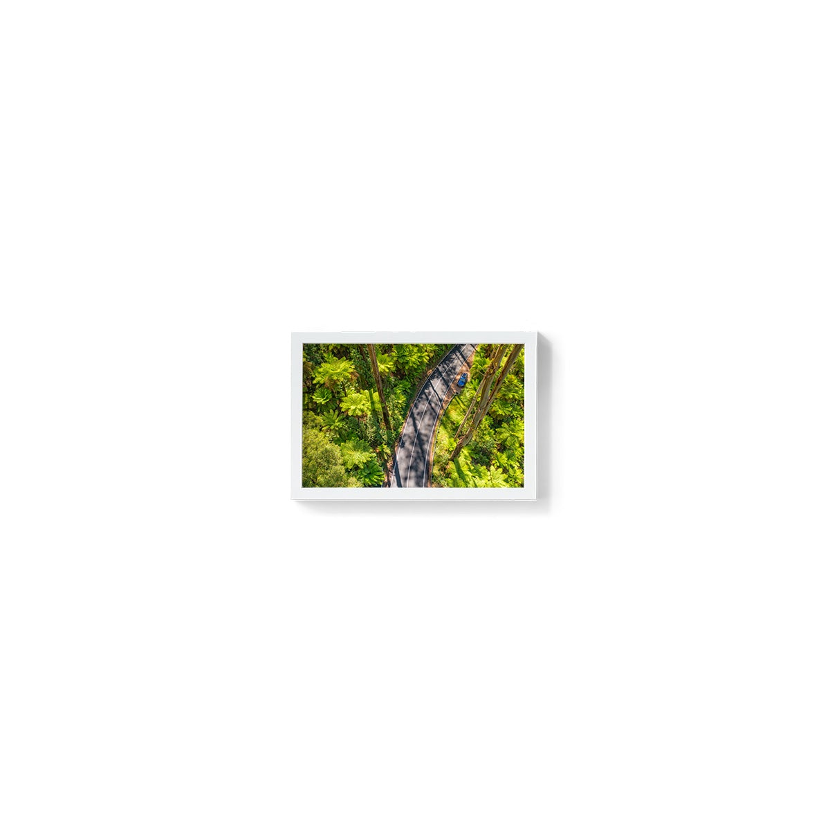 Black Spur Road #5 - Framed Print