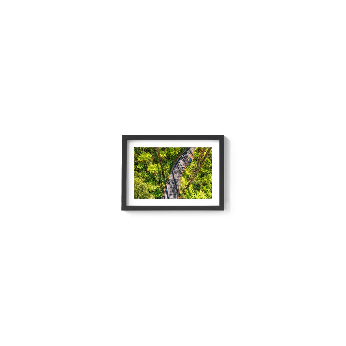 Black Spur Road #5 - Framed Print