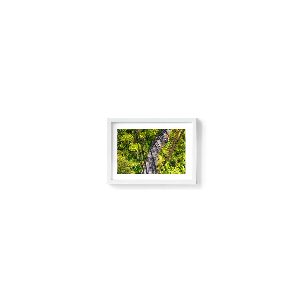 Black Spur Road #5 - Framed Print