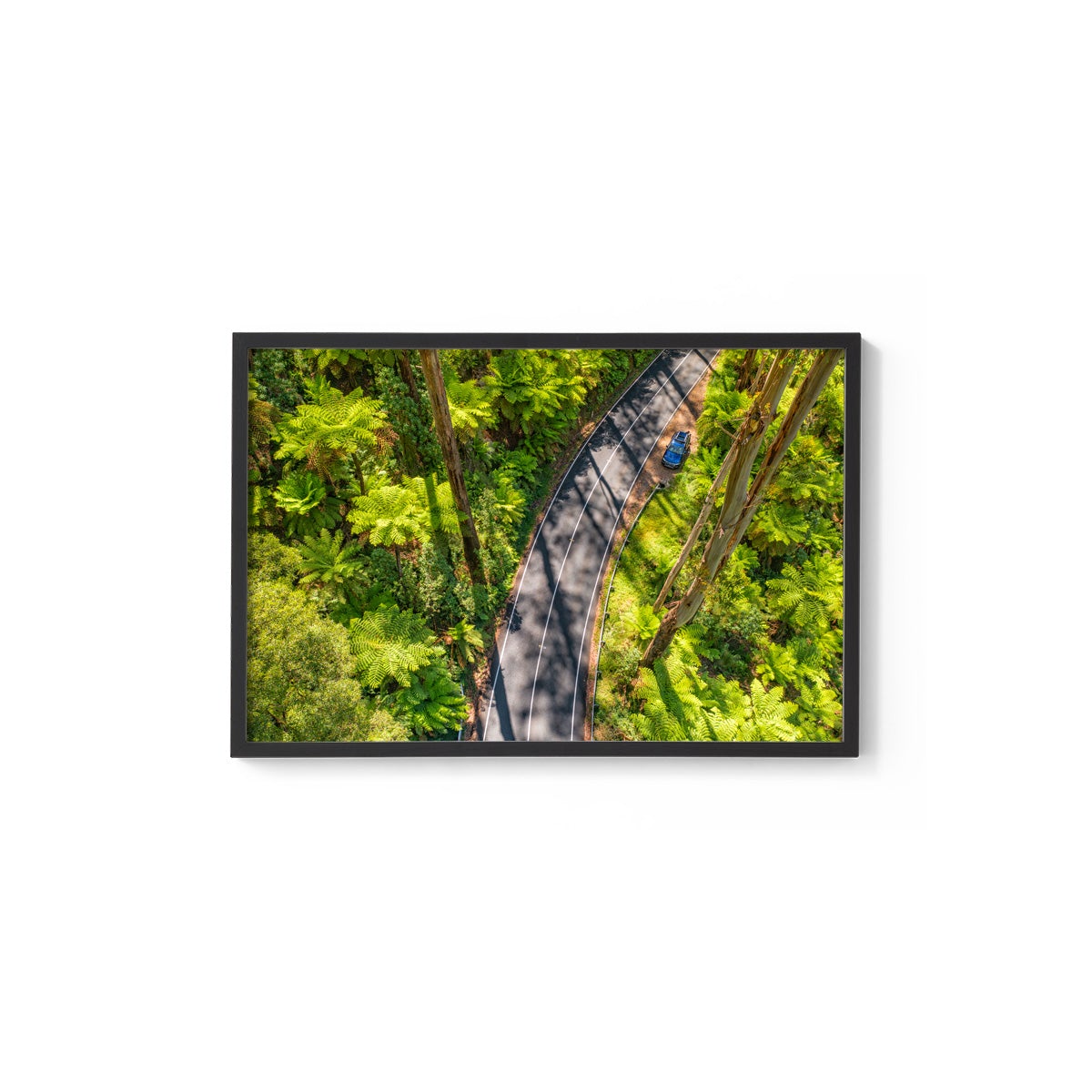 Black Spur Road #5 - Framed Print