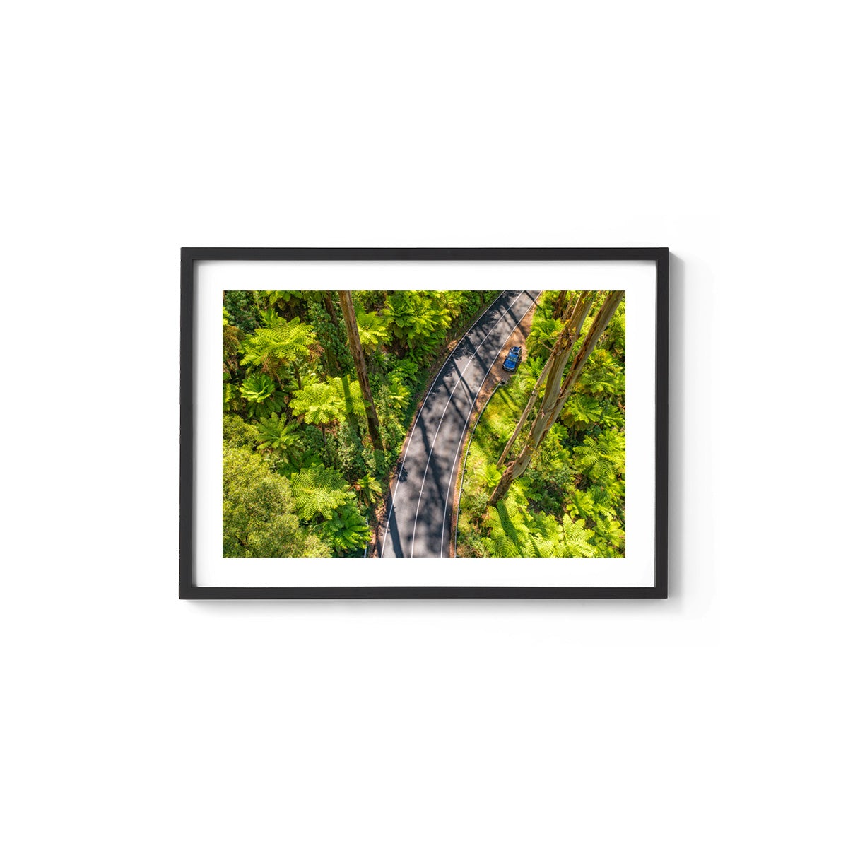 Black Spur Road #5 - Framed Print