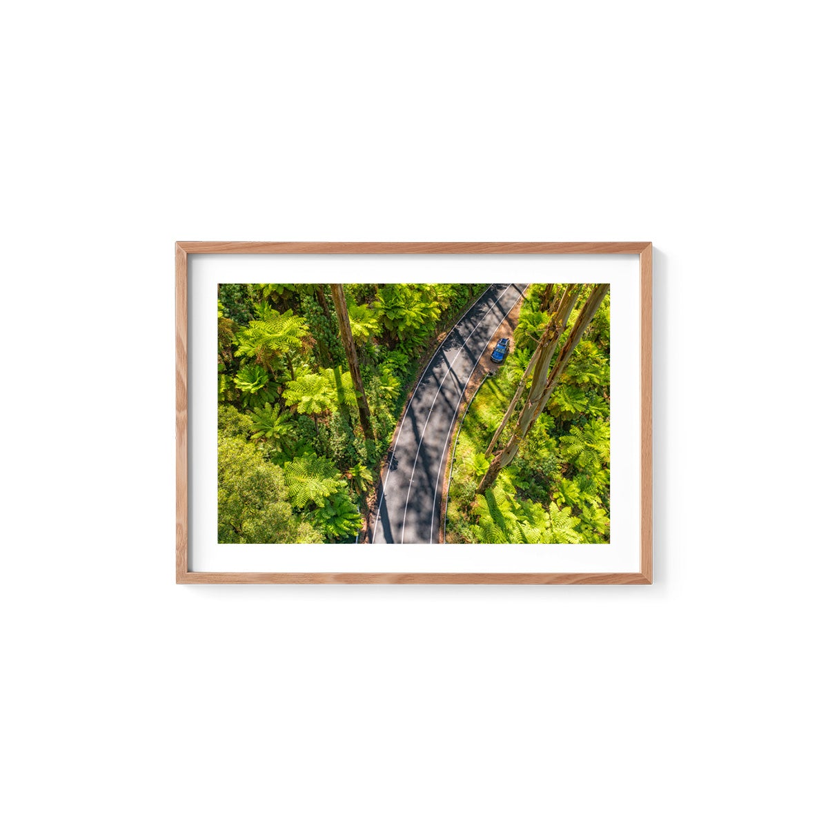 Black Spur Road #5 - Framed Print