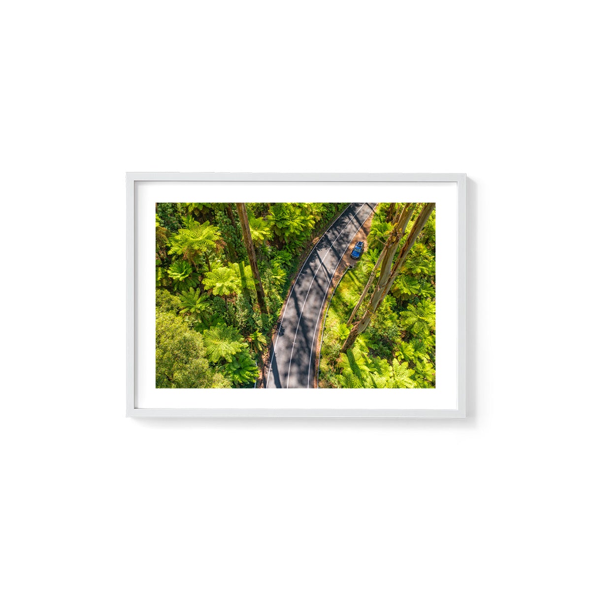 Black Spur Road #5 - Framed Print