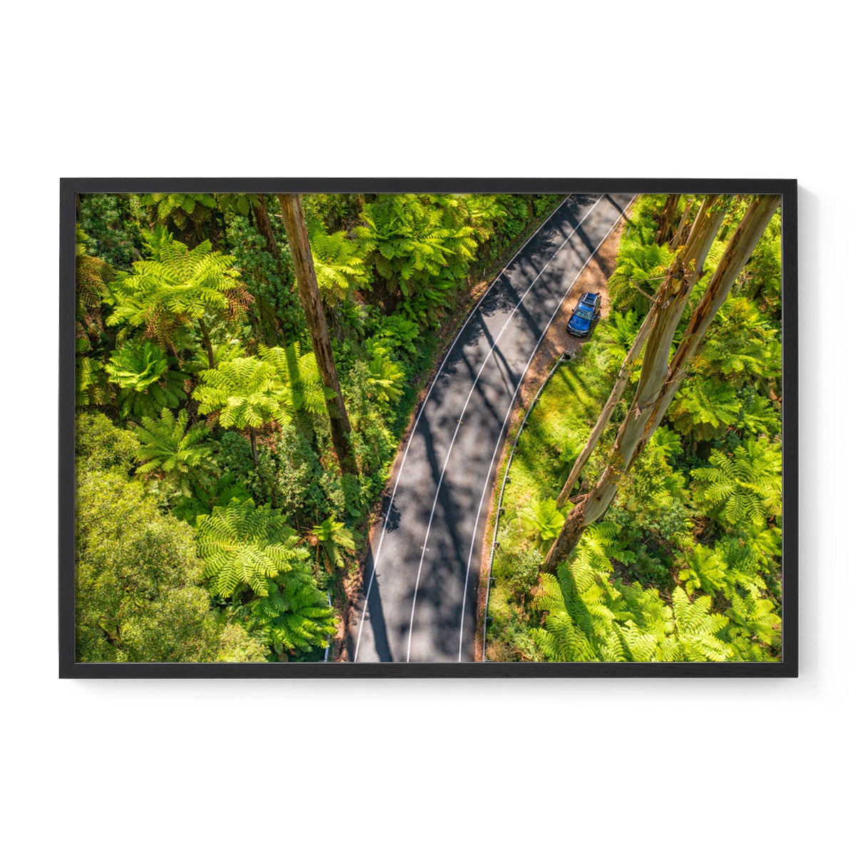 Black Spur Road #5 - Framed Print