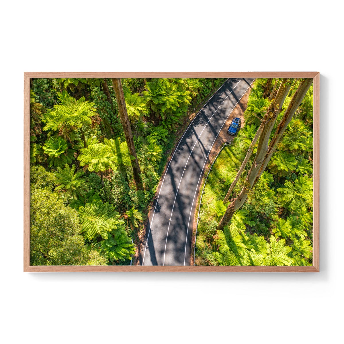 Black Spur Road #5 - Framed Print